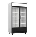 Kühlschrank 2 Glastüren, 1120 x 610 x 1973 mm, 670 L