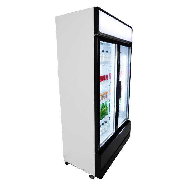 Kühlschrank 2 Glastüren, 1120 x 610 x 1973 mm, 670 L