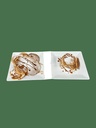 Pfannkuchenmacher 4ST aus Edelstahl, 305 x 430 x 505 mm