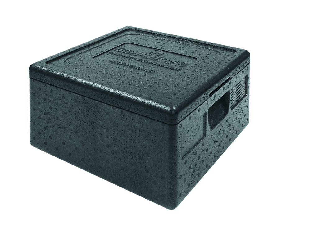 Transportbox aus Expandiertem Polypropylen, 410 x 410 x 240 mm
