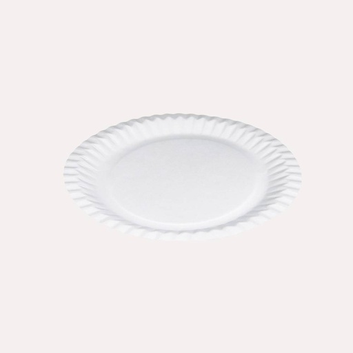 Pappteller 23cm 100 Stück